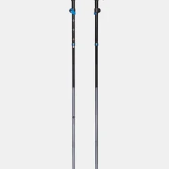 Black Diamond Distance FLZ Wandelstokken