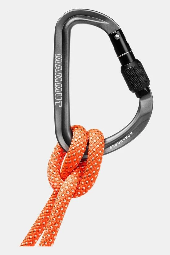 Mammut Workhorse HMS Screwgate Carabiner 4 Mammut Workhorse HMS Screwgate Carabiner - Afbeelding 2